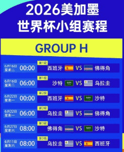 温网中央球场德约科维奇夺冠瞬间